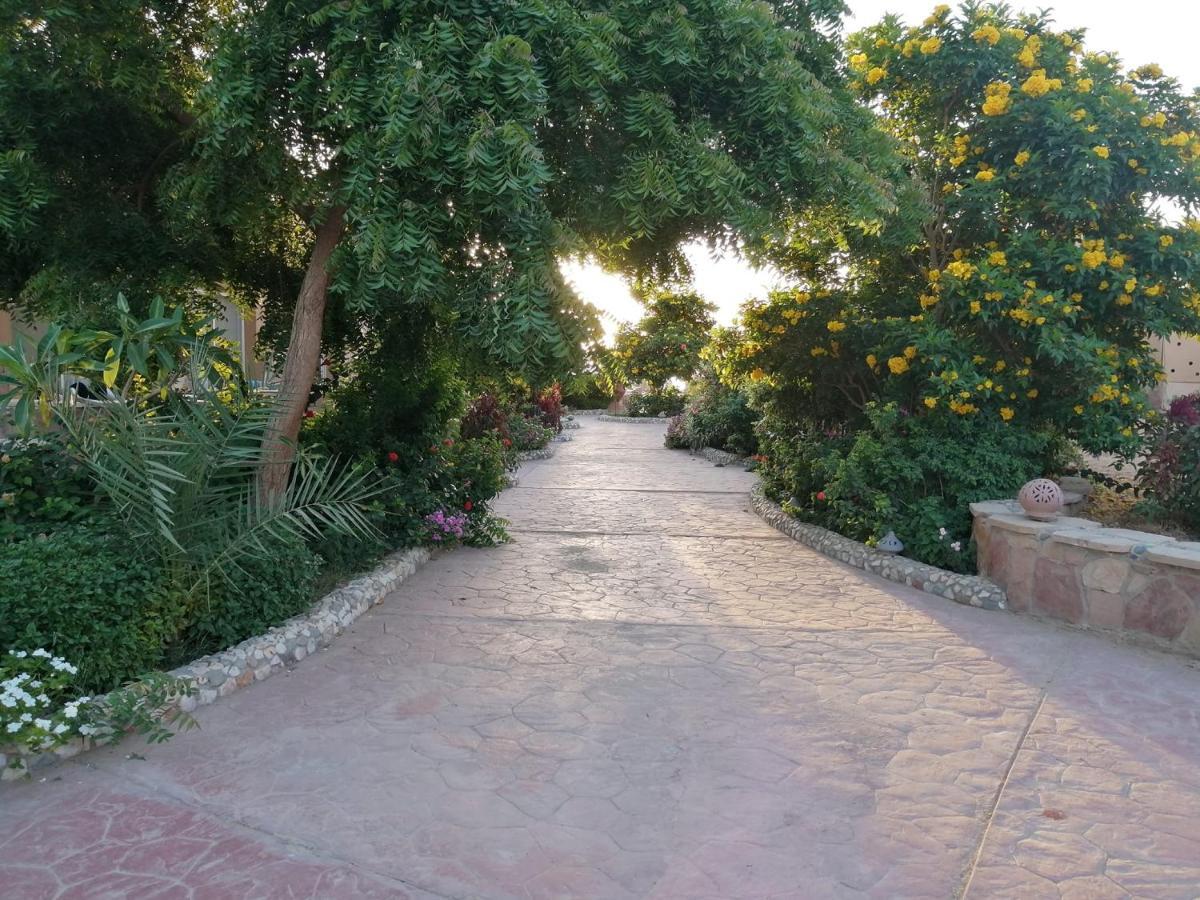 Silver Beach Boutique Hotel (Adults Only) El Qoseir Exteriér fotografie