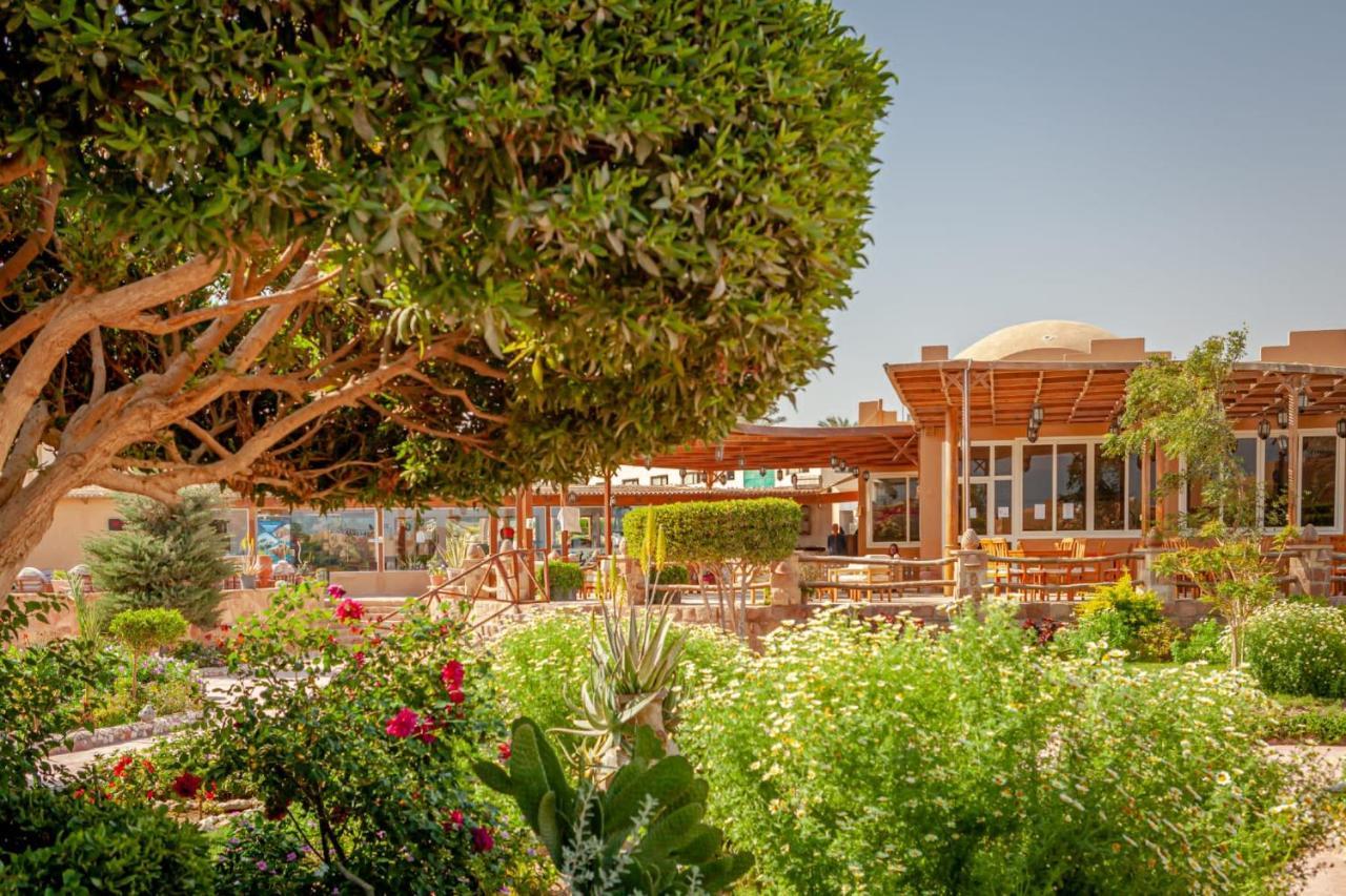 Silver Beach Boutique Hotel (Adults Only) El Qoseir Exteriér fotografie